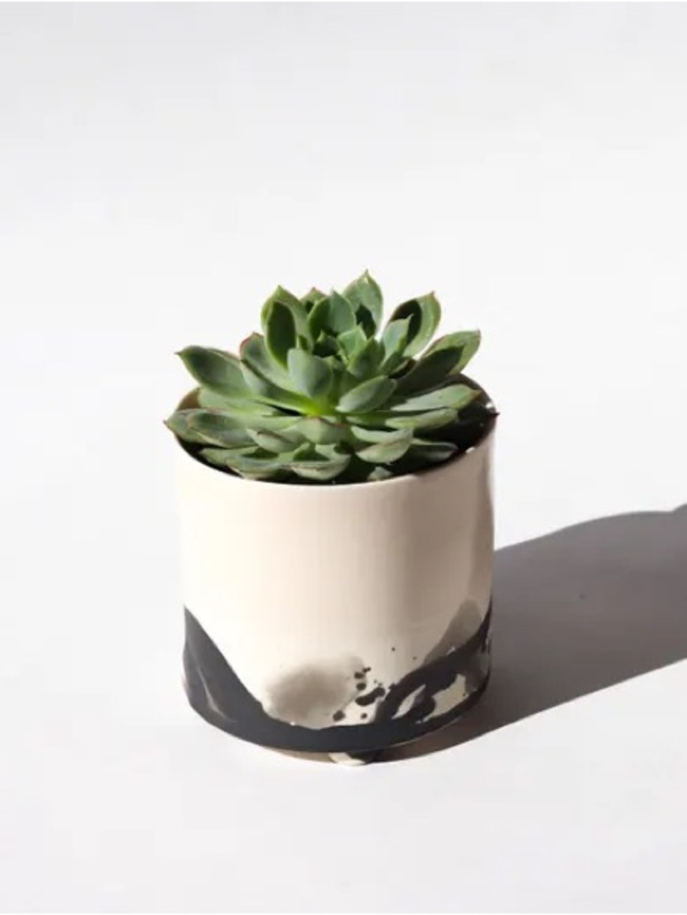 Elizabeth Benotti Porcelain Clay Splatter Planter (Handmade in Maine)